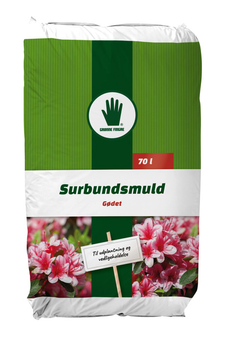 princess anne rhododendron Princess Anne main image 0