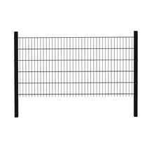 Panelhegn