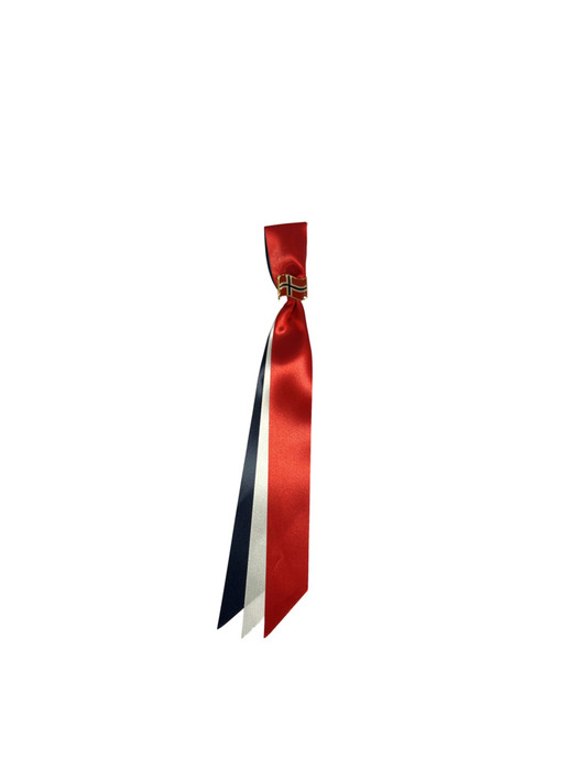 17. mai sløyfe
