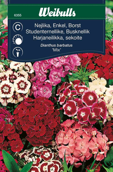 Busknellik "Mix"