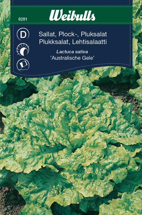 Plukksalat "Australische Gele"