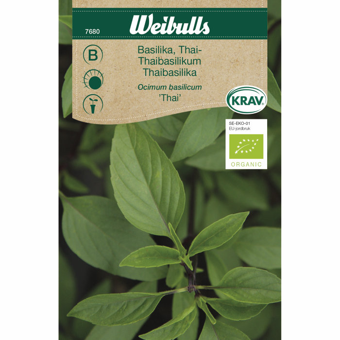 Thaibasilikum økologisk