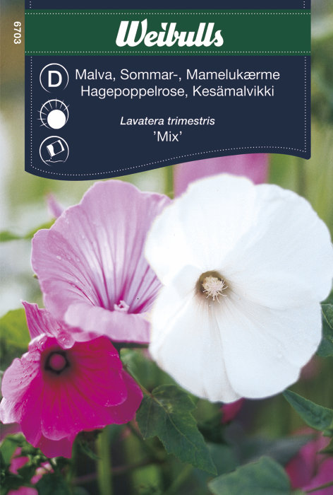 Hagepoppelrose "Mix"