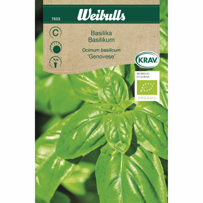 Basilikum økologisk - Genovese