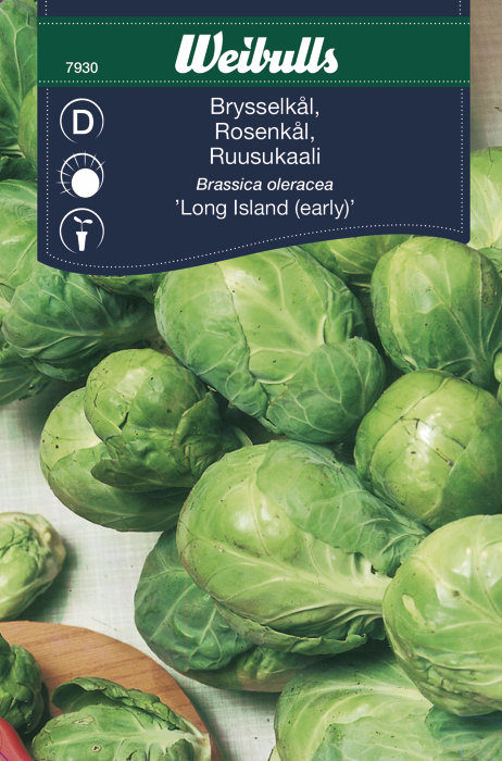 Rosenkål ´Long Island`