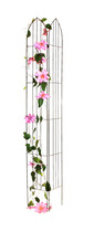 Espalier
