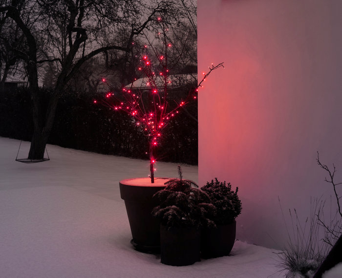 Ljusslinga 100 LED Röd Stemning