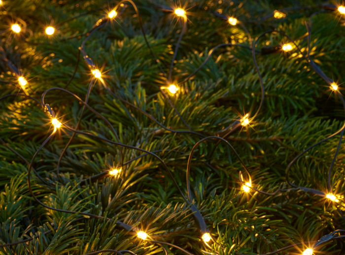 Ljusnät 100 LED Batteridrivet Stemning