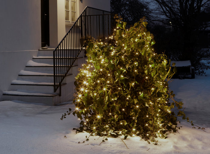 Ljusnät 240 LED Stemning