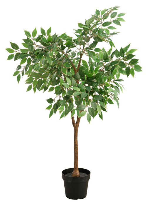 Konstväxt Fikusträd 125 Cm