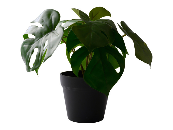 Konstväxt Monstera 26 X 23 Cm