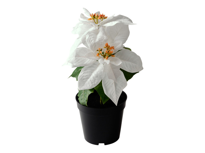 Konstväxt Julstjärna Vit 32 Cm