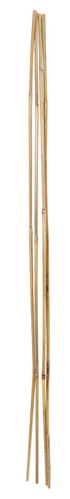 Bambupinne 120 cm 4-pack Home>it