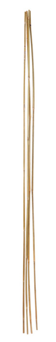Bambupinne 150 Cm 4-pack Home>it