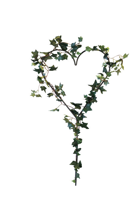 Spaljé Hjärta 39 X 79 Cm