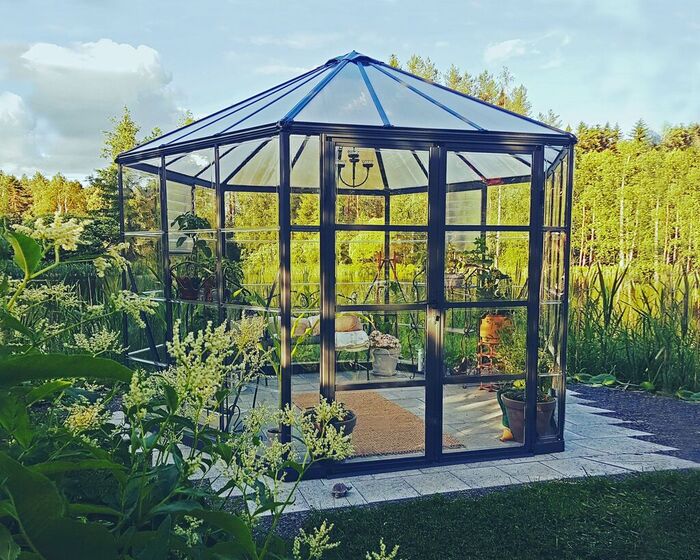 Växthus Oasis 8,6 M² Mörkgrå Canopia By Palram
