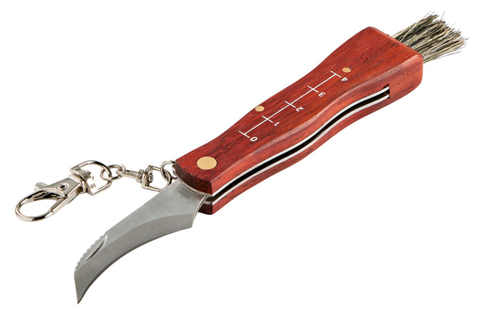 Svampkniv Hopfällbar 169 Mm
