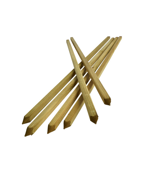 Planteringspinne 150 Cm 6-pack