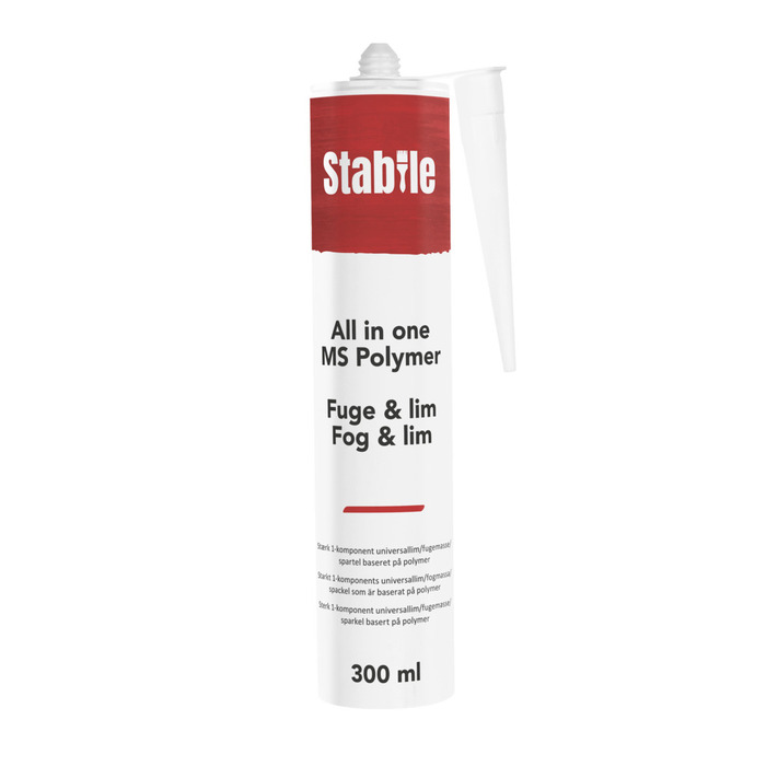 Fog/Lim MS Polymer All In One Vit 300 Ml Stabile