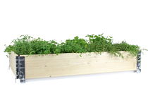 Plantering & Dekoration