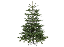 Julgranar